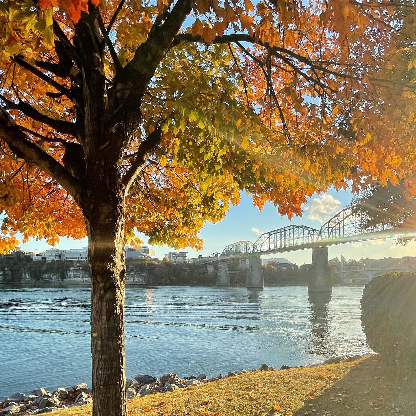 Preview image of Fall Colors in the Scenic City